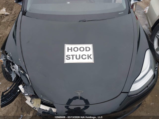 12565809 :رقم المزاد ، 5YJ3E1EA8KF414055 vin ، 2019 Tesla Model 3 مزاد بيع