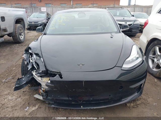 12565809 :رقم المزاد ، 5YJ3E1EA8KF414055 vin ، 2019 Tesla Model 3 مزاد بيع