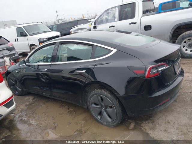 12565809 :رقم المزاد ، 5YJ3E1EA8KF414055 vin ، 2019 Tesla Model 3 مزاد بيع