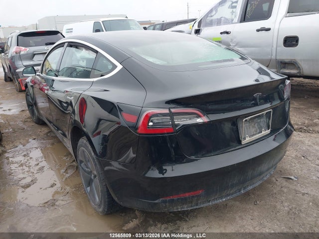 12565809 :رقم المزاد ، 5YJ3E1EA8KF414055 vin ، 2019 Tesla Model 3 مزاد بيع