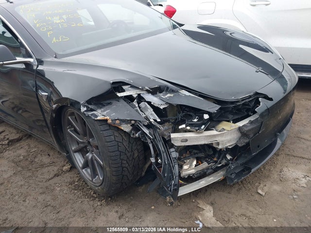 12565809 :رقم المزاد ، 5YJ3E1EA8KF414055 vin ، 2019 Tesla Model 3 مزاد بيع