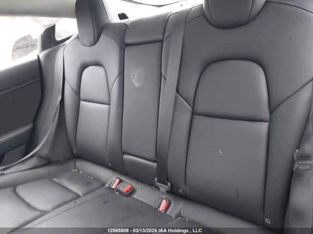 12565809 :رقم المزاد ، 5YJ3E1EA8KF414055 vin ، 2019 Tesla Model 3 مزاد بيع