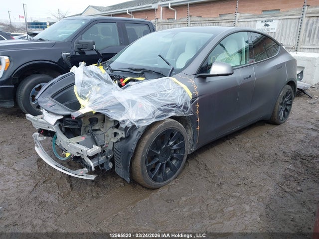 7SAYGDEEXNF431094 Tesla Model Y Long Range
