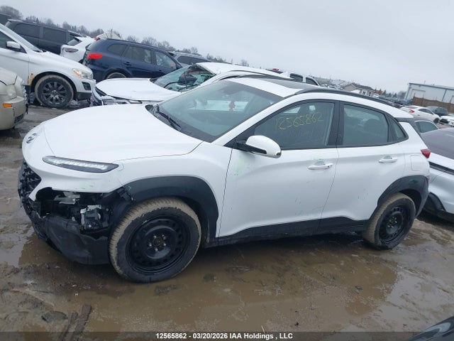 Продаж на аукціоні авто 2023 Hyundai Kona, vin: KM8K6CAB4PU955553, номер лоту: 12565862