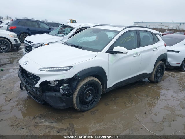Продаж на аукціоні авто 2023 Hyundai Kona, vin: KM8K6CAB4PU955553, номер лоту: 12565862