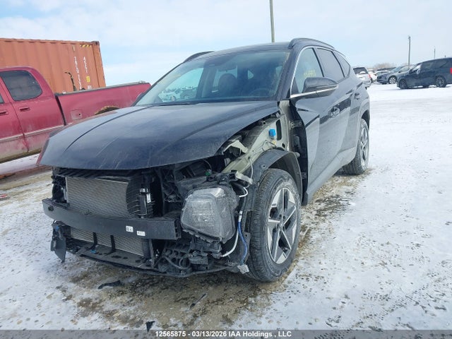 Продаж на аукціоні авто 2025 Hyundai Tucson, vin: 3KMJCCDE5SE026040, номер лоту: 12565875