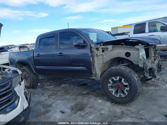 5TFCZ5AN9LX219562 Toyota Tacoma