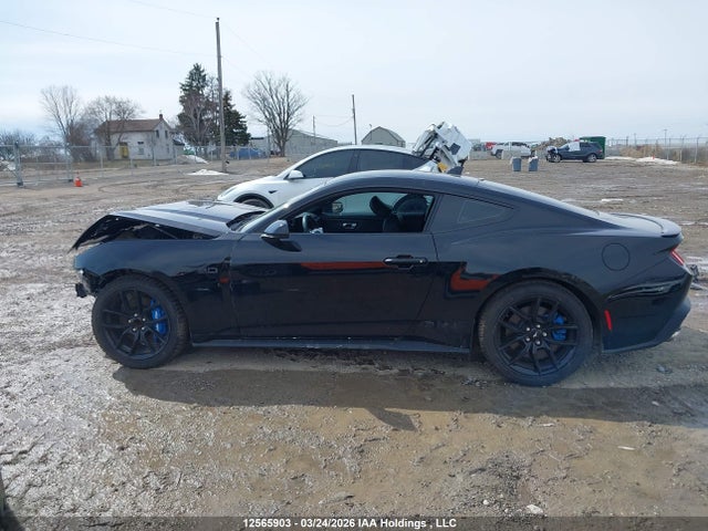 12565903 :رقم المزاد ، 1FA6P8CF6R5422266 vin ، 2024 Ford Mustang Gt مزاد بيع