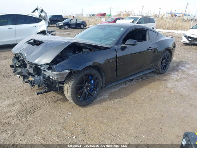 12565903 :رقم المزاد ، 1FA6P8CF6R5422266 vin ، 2024 Ford Mustang Gt مزاد بيع