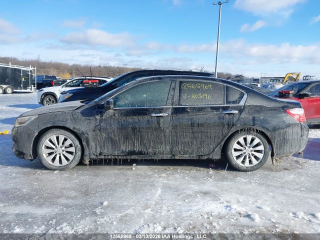 Aukcja sprzedaży 2013 Honda Accord, vin: 1HGCR2F86DA803196, numer aukcji: 12565969