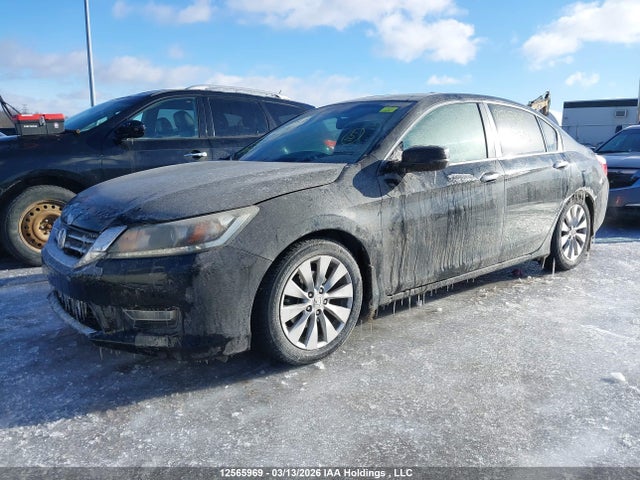 Aukcja sprzedaży 2013 Honda Accord, vin: 1HGCR2F86DA803196, numer aukcji: 12565969