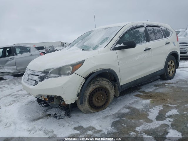 12565983 :رقم المزاد ، 2HKRM4H37EH102567 vin ، 2014 Honda Cr-v Lx مزاد بيع