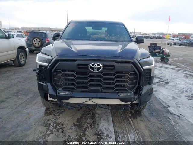Продаж на аукціоні авто 2025 Toyota Tundra Hybrid Limited 4x4, vin: 5TFWC5DB1SX087069, номер лоту: 12565985