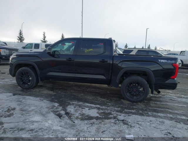 Продаж на аукціоні авто 2025 Toyota Tundra Hybrid Limited 4x4, vin: 5TFWC5DB1SX087069, номер лоту: 12565985