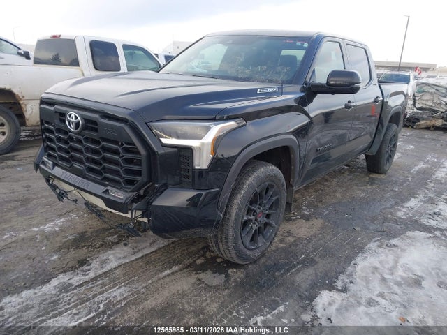 Продаж на аукціоні авто 2025 Toyota Tundra Hybrid Limited 4x4, vin: 5TFWC5DB1SX087069, номер лоту: 12565985