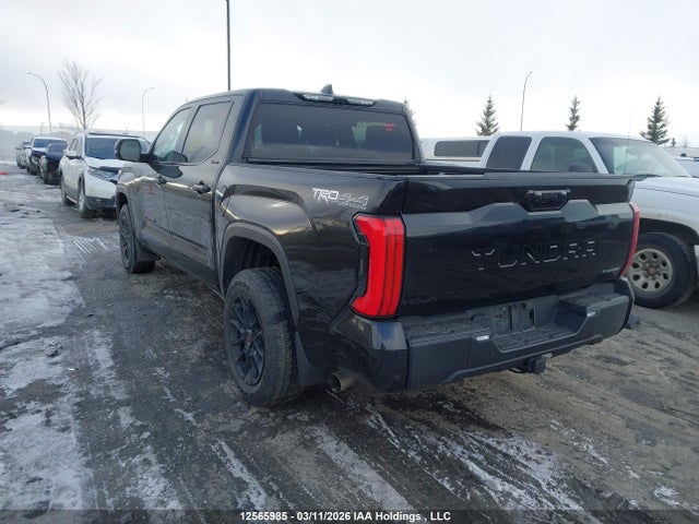 Продаж на аукціоні авто 2025 Toyota Tundra Hybrid Limited 4x4, vin: 5TFWC5DB1SX087069, номер лоту: 12565985