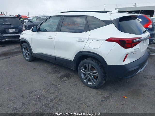 Aukcja sprzedaży 2023 Kia Seltos Lx, vin: KNDEPCAA4P7348797, numer aukcji: 12566031