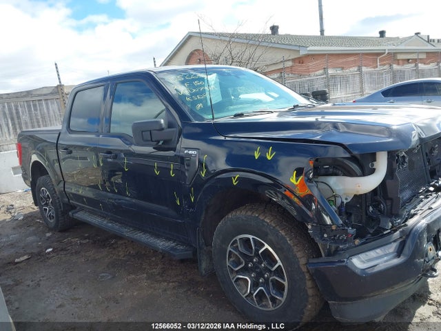 2021 Ford F-150 Xlt მანქანა იყიდება აუქციონზე, vin: 1FTEW1EP3MFD07469, აუქციონის ნომერი: 12566052