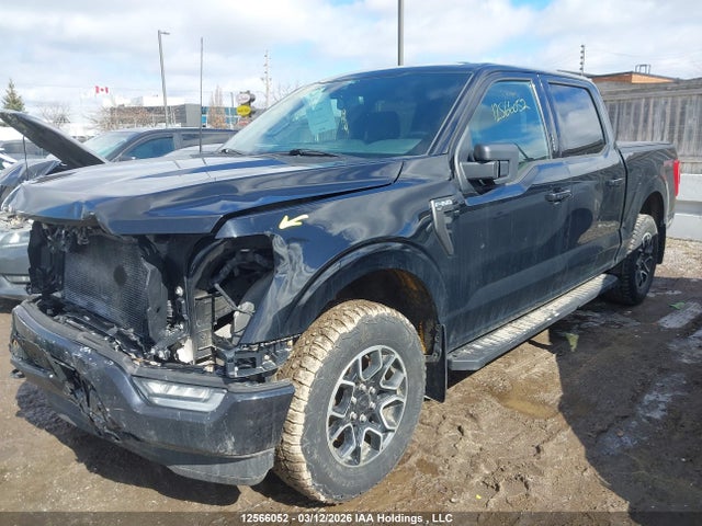 2021 Ford F-150 Xlt მანქანა იყიდება აუქციონზე, vin: 1FTEW1EP3MFD07469, აუქციონის ნომერი: 12566052