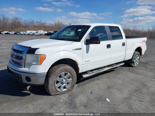 1FTFW1ET6EKF81338 Ford F150 Supercrew