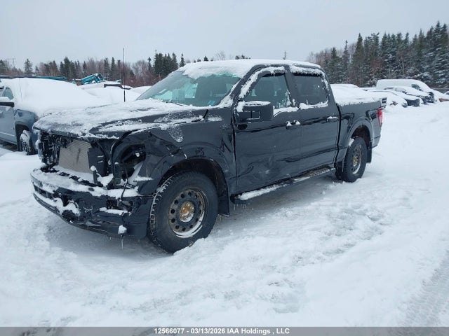 Продажа на аукционе авто 2024 Ford F-150 Stx, vin: 1FTEW2LP2RKD17529, номер лота: 12566077