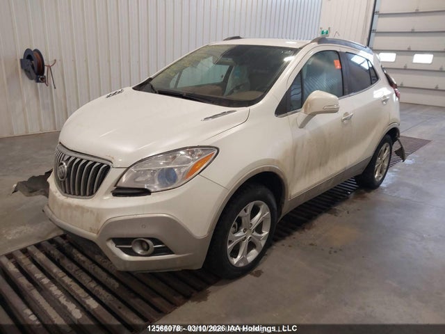 Продаж на аукціоні авто 2014 Buick Encore Premium, vin: KL4CJHSB7EB686339, номер лоту: 12566078
