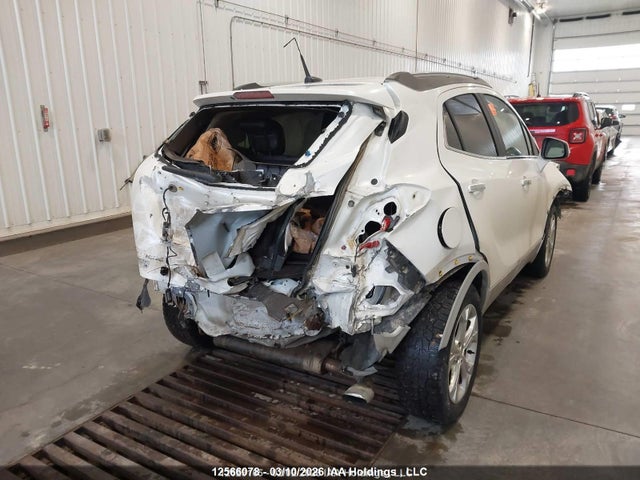 Продаж на аукціоні авто 2014 Buick Encore Premium, vin: KL4CJHSB7EB686339, номер лоту: 12566078