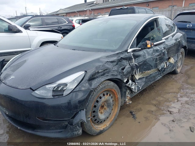 12566092 :رقم المزاد ، 5YJ3E1EA9KF399761 vin ، 2019 Tesla Model 3 Long Range/mid Range/standard Range/standard Range Plus مزاد بيع