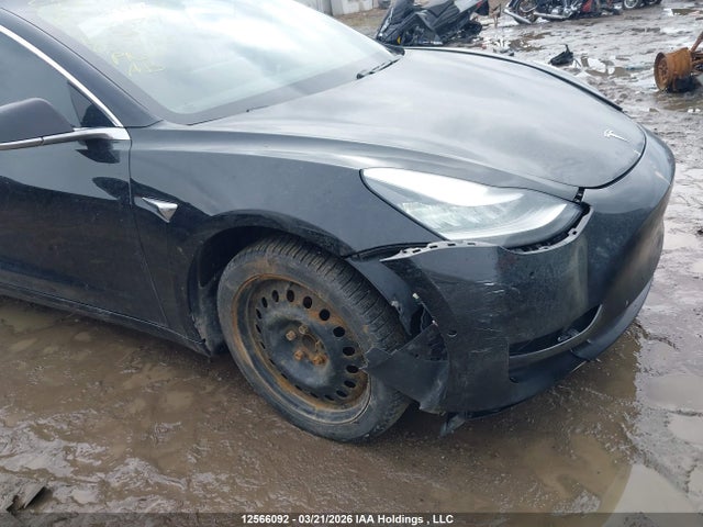 12566092 :رقم المزاد ، 5YJ3E1EA9KF399761 vin ، 2019 Tesla Model 3 Long Range/mid Range/standard Range/standard Range Plus مزاد بيع