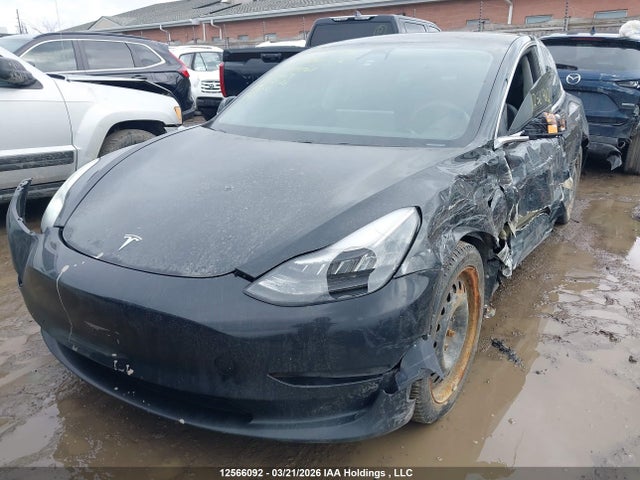 12566092 :رقم المزاد ، 5YJ3E1EA9KF399761 vin ، 2019 Tesla Model 3 Long Range/mid Range/standard Range/standard Range Plus مزاد بيع
