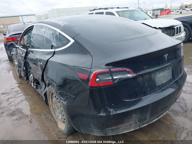 12566092 :رقم المزاد ، 5YJ3E1EA9KF399761 vin ، 2019 Tesla Model 3 Long Range/mid Range/standard Range/standard Range Plus مزاد بيع