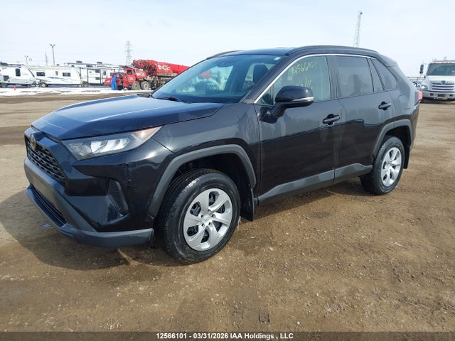 12566101 :رقم المزاد ، 2T3B1RFV3MC161023 vin ، 2021 Toyota Rav4 Le مزاد بيع