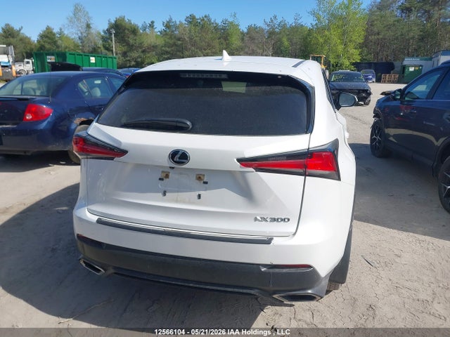 Aukcja sprzedaży 2020 Lexus Nx 300 Base/300 Luxury/300 F Sport, vin: JTJAARDZXL5004740, numer aukcji: 12566104