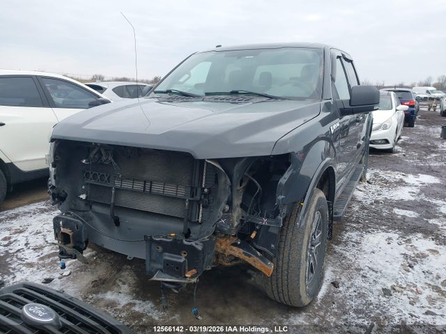 Продаж на аукціоні авто 2017 Ford F-150 Xlt, vin: 1FTEW1EF3HFB14753, номер лоту: 12566142