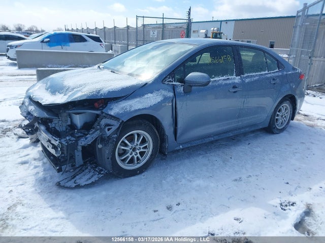 2020 Toyota Corolla Hybrid მანქანა იყიდება აუქციონზე, vin: JTDBBRBE8LJ005249, აუქციონის ნომერი: 12566158