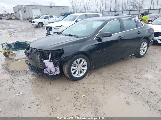 2024 Chevrolet Malibu Lt მანქანა იყიდება აუქციონზე, vin: 1G1ZD5ST3RF216654, აუქციონის ნომერი: 12566194