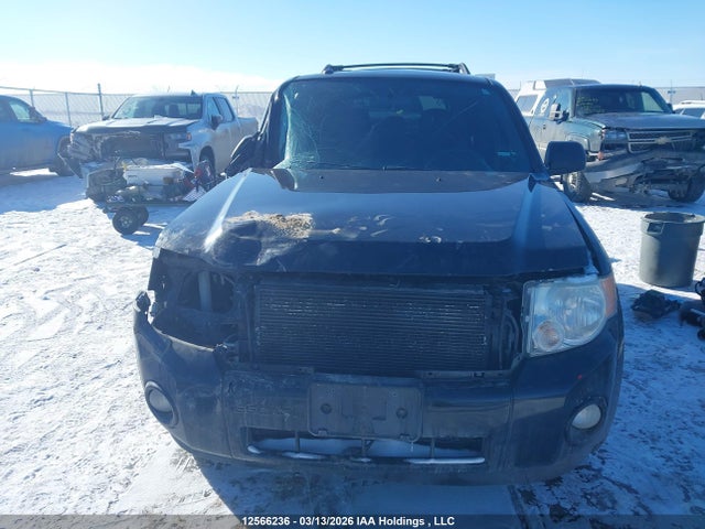 Продаж на аукціоні авто 2011 Ford Escape Xlt, vin: 1FMCU9DG7BKA16079, номер лоту: 12566236