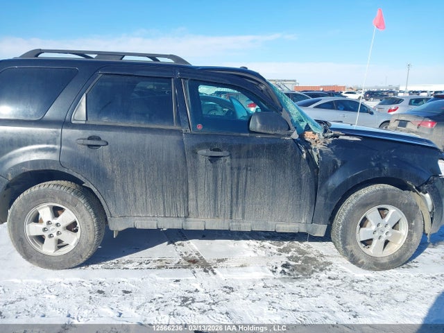Продаж на аукціоні авто 2011 Ford Escape Xlt, vin: 1FMCU9DG7BKA16079, номер лоту: 12566236