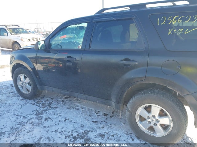 Продаж на аукціоні авто 2011 Ford Escape Xlt, vin: 1FMCU9DG7BKA16079, номер лоту: 12566236