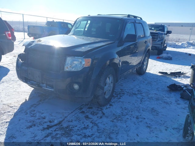 Продаж на аукціоні авто 2011 Ford Escape Xlt, vin: 1FMCU9DG7BKA16079, номер лоту: 12566236