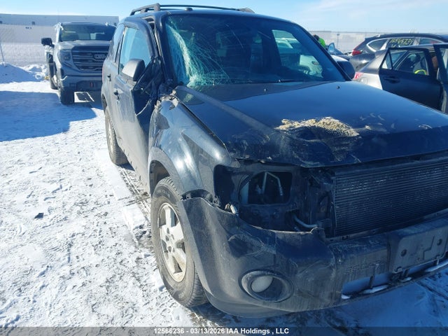 Продаж на аукціоні авто 2011 Ford Escape Xlt, vin: 1FMCU9DG7BKA16079, номер лоту: 12566236