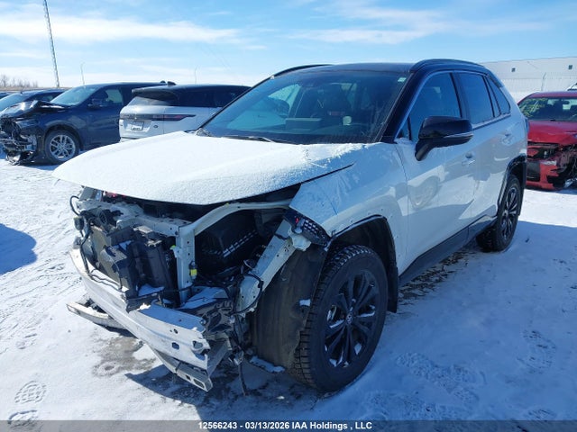 12566243 :رقم المزاد ، 2T35WRFV9SW282620 vin ، 2025 Toyota Rav4 Hybrid Xse مزاد بيع