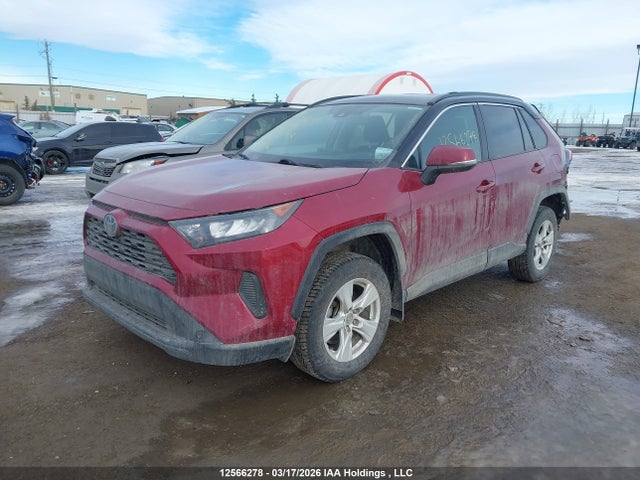 12566278 :رقم المزاد ، 2T3B1RFV8KW079798 vin ، 2019 Toyota Rav4 مزاد بيع