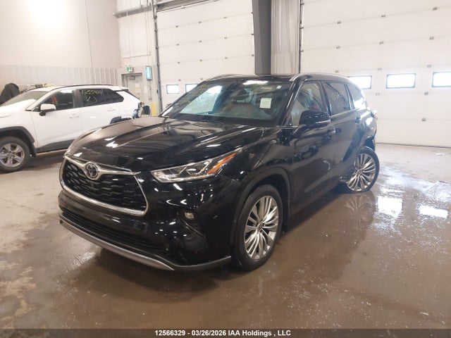 Продажа на аукционе авто 2022 Toyota Highlander Platinum, vin: 5TDFZRBH1NS195537, номер лота: 12566329