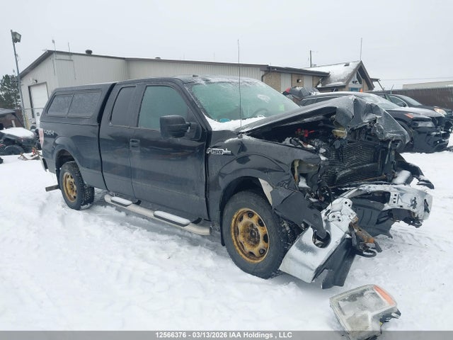 Aukcja sprzedaży 2013 Ford F-150 Fx4/lariat/stx/xl/xlt, vin: 1FTFX1EF7DFB13018, numer aukcji: 12566376