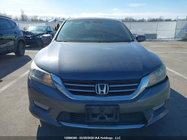 Auction sale of the 2013 Honda Accord Ex-l, vin: 1HGCR2F83DA805973, lot number: 12566380