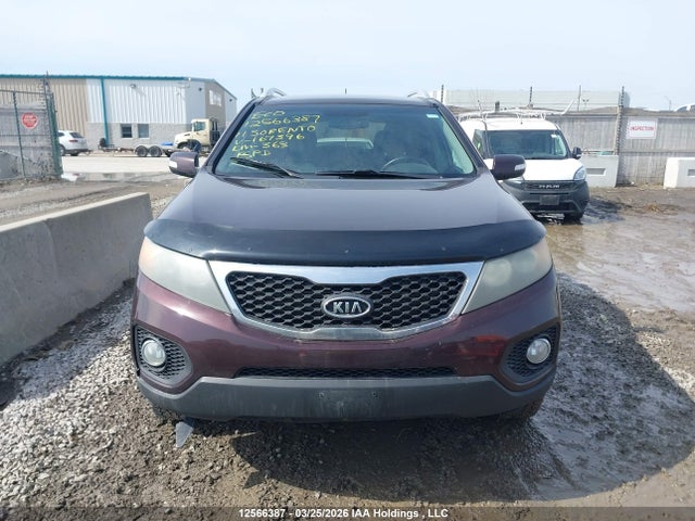 2011 Kia Sorento Ex მანქანა იყიდება აუქციონზე, vin: 5XYKUDA24BG167396, აუქციონის ნომერი: 12566387