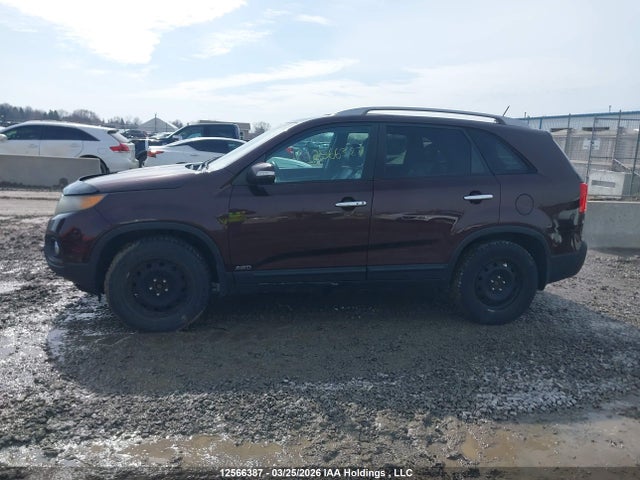 2011 Kia Sorento Ex მანქანა იყიდება აუქციონზე, vin: 5XYKUDA24BG167396, აუქციონის ნომერი: 12566387