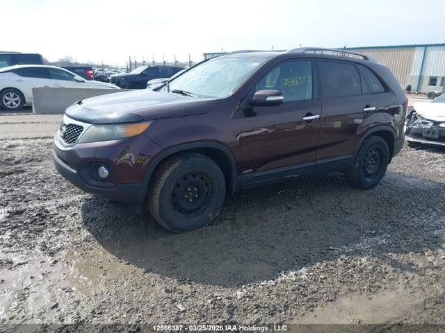 2011 Kia Sorento Ex მანქანა იყიდება აუქციონზე, vin: 5XYKUDA24BG167396, აუქციონის ნომერი: 12566387