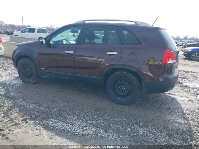 2011 Kia Sorento Ex მანქანა იყიდება აუქციონზე, vin: 5XYKUDA24BG167396, აუქციონის ნომერი: 12566387